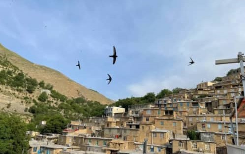 امکانات رفاهی کامل